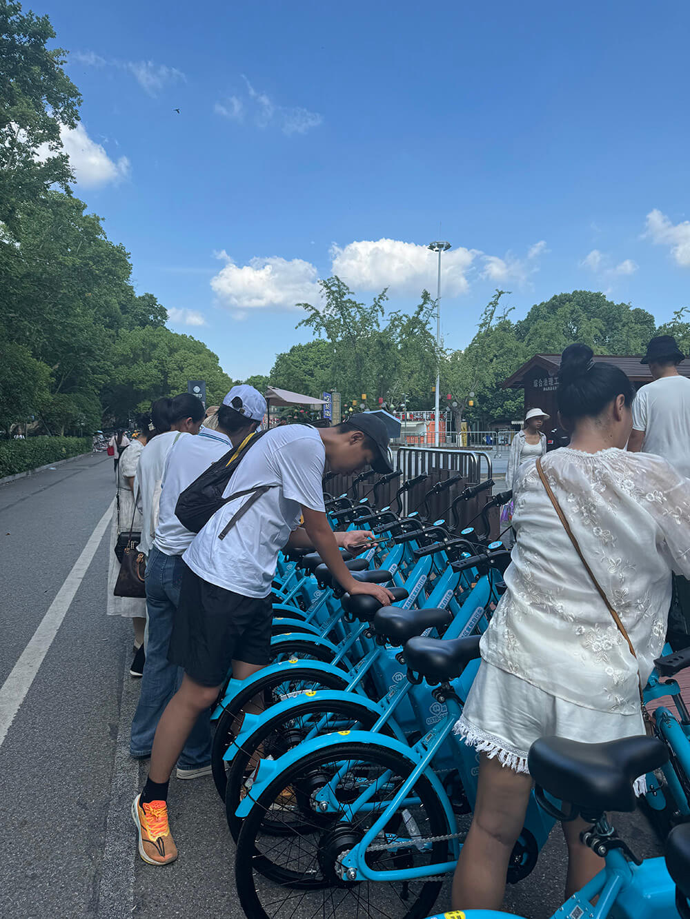 250辆氢能自行车投身南京钟山风景区，服务旅客实现绿色出行与产业发展双赢1